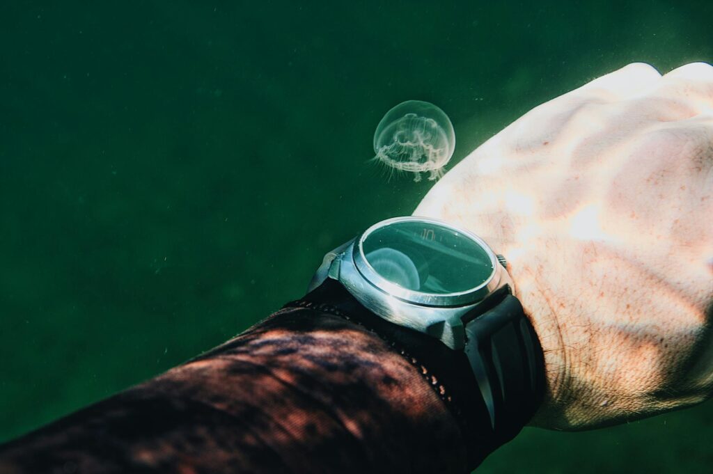 Close-up of a human hand with wristwatch and jellyfish underwater, showcasing aquatic exploration.
